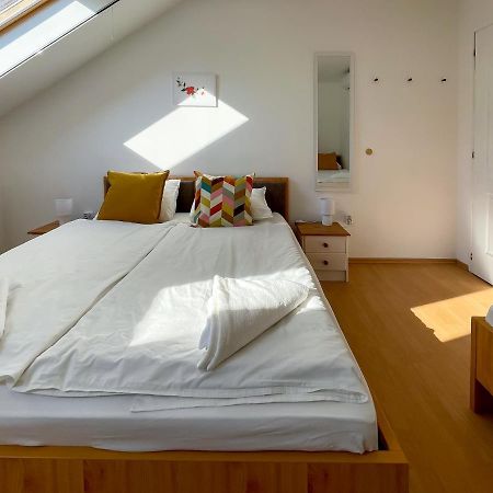 Tanyacsarda Panzio Bed & Breakfast Baja Luaran gambar